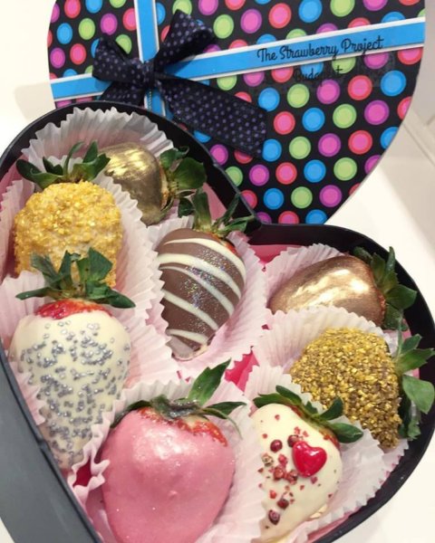 15327482_570607176467052_3324062550580905067_n