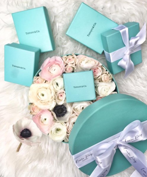 15349681_1472764032764705_7102526795127325994_n