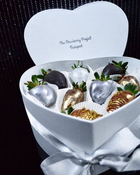 15672855_577370789124024_4177931963296611870_n