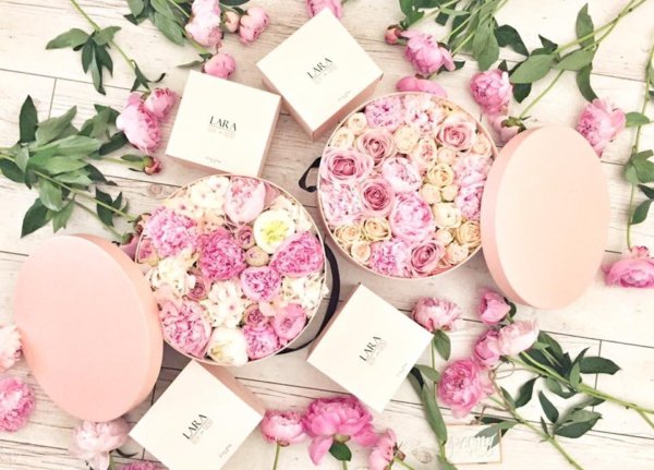 15822589_1502674493106992_85621825645749285_n