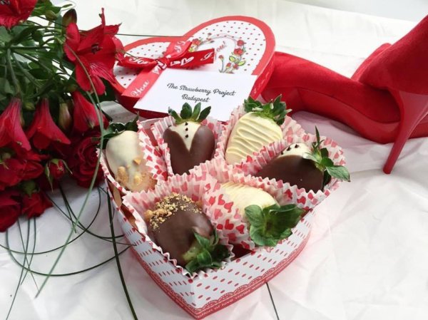 15823722_579113925616377_9127313669397624625_n