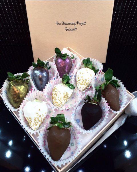 15871457_580101902184246_7064862794326727317_n