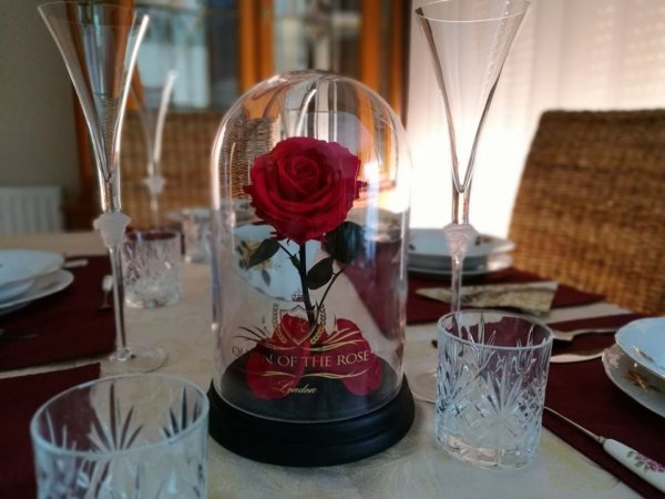 15894974_1391476300924891_3676772605584104109_n