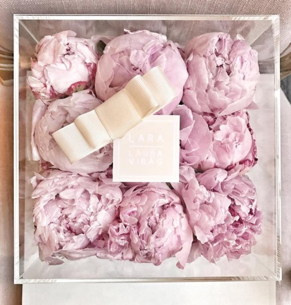 15895397_1517166131657828_1120347514052932655_n