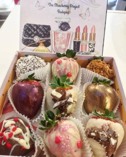 15966240_584675881726848_1770602354373434963_n