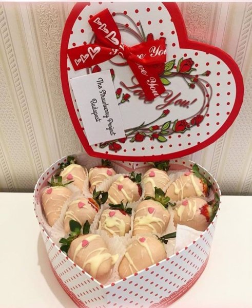 15977010_584291165098653_5255069583163128712_n