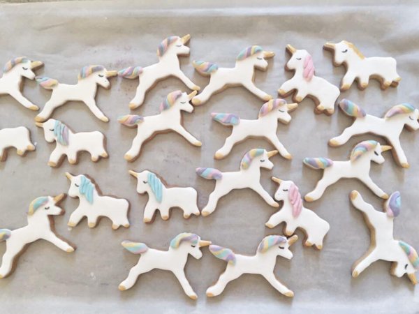 16002824_1889377111299620_5838898742528555741_n