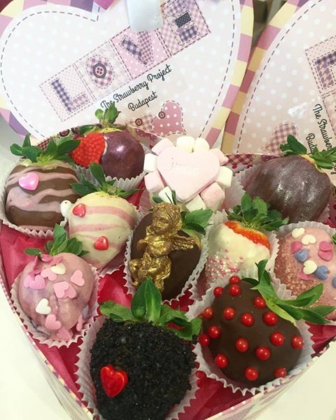 16114039_588650127996090_1503528417705294373_n