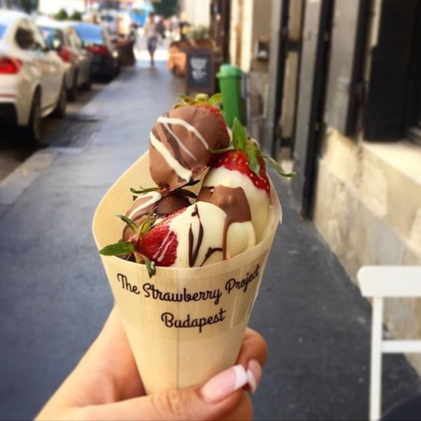 16142196_586274091567027_7317298525053697541_n