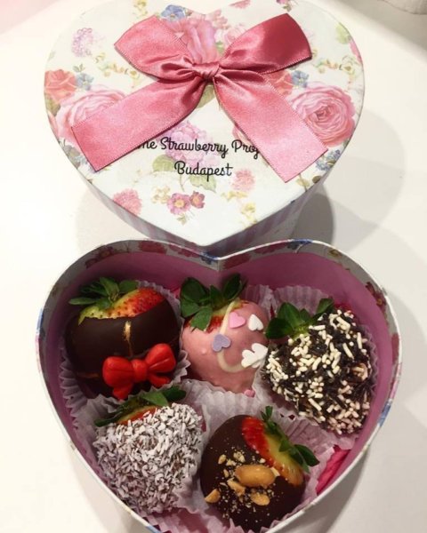 16143089_586279734899796_973680335954957657_n