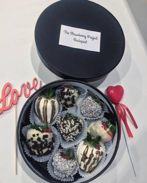 16174440_587749044752865_4489033202769122915_n