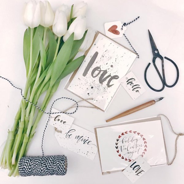 16265936_1567368176637623_7671225833490810622_n