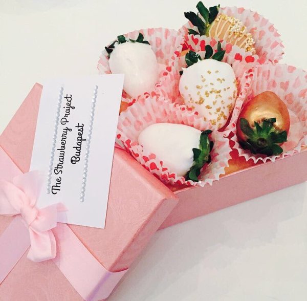 16298482_589596254568144_6782739909959354596_n