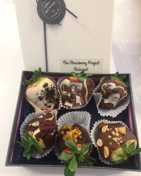 16298501_588209514706818_4198578916589680117_n