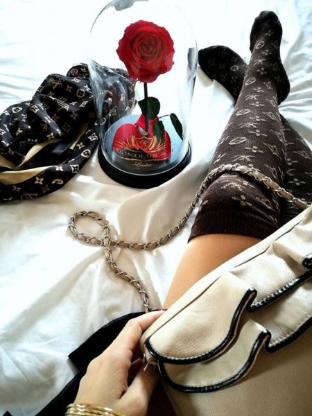 16298828_1409919375747250_8528636422269550946_n