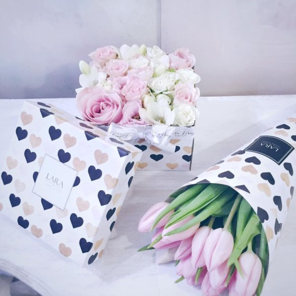 16299428_1572336399474134_7950497227022599685_n