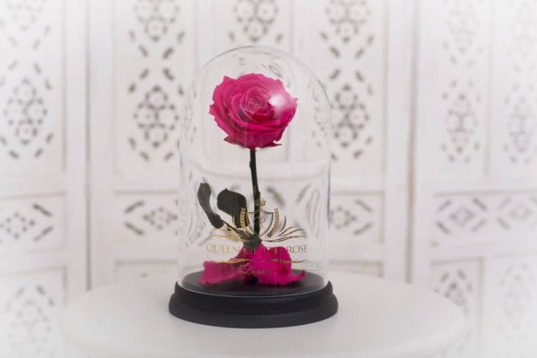 16299532_1419448498127671_1180153581418464527_n