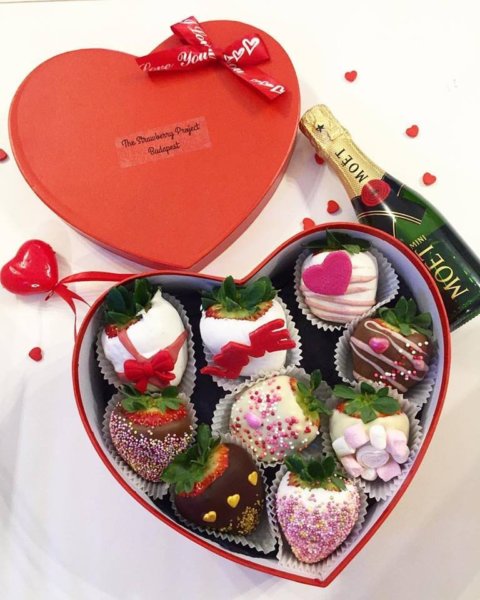 16386853_591502541044182_137835136939196600_n