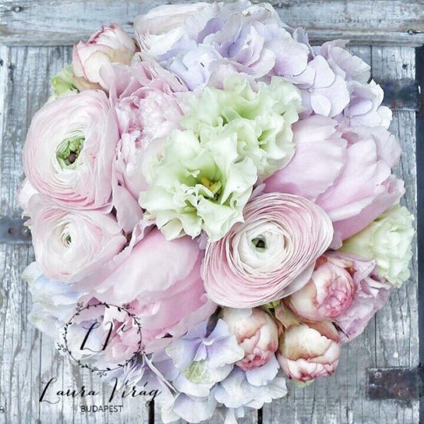 16387098_1573790489328725_4065844410989179114_n