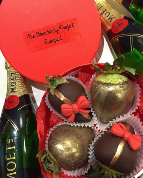 16387320_589485177912585_5616492738577525363_n