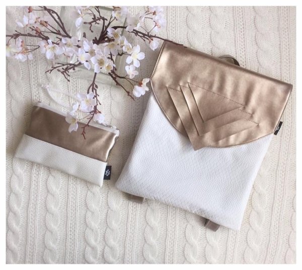 16388309_243616419417814_8569315219028927952_n