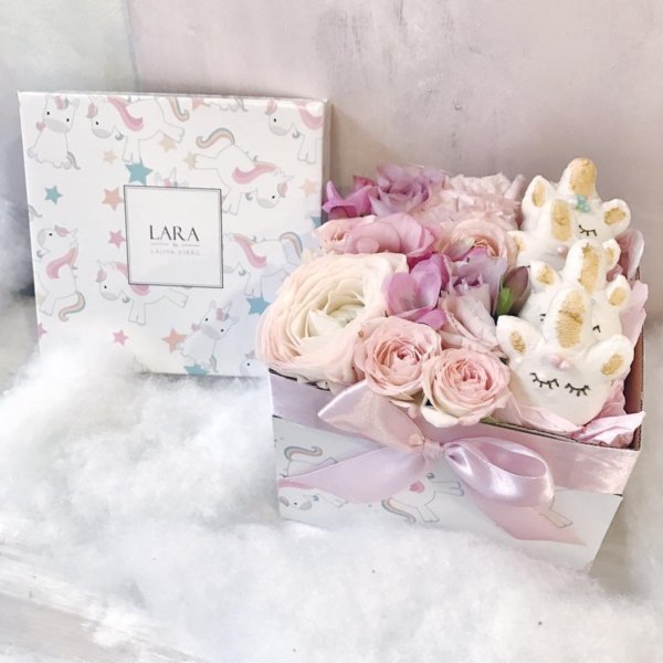 16406570_1567368196637621_2459331691443784509_n