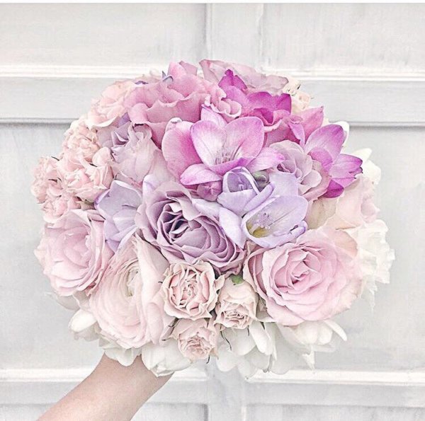 16406637_1572565372784570_4660814804818809050_n