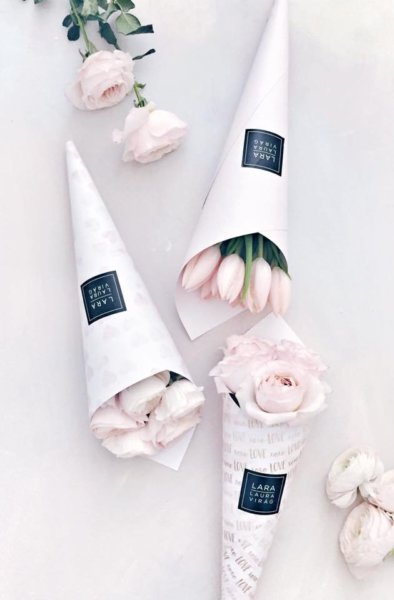 16406965_1567413299966444_3506611332519677477_n