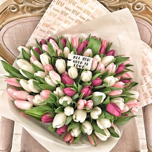 16425820_1578515008856273_8757818237304814854_n