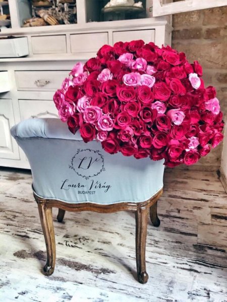 16425894_1567368313304276_3008064288958524473_n