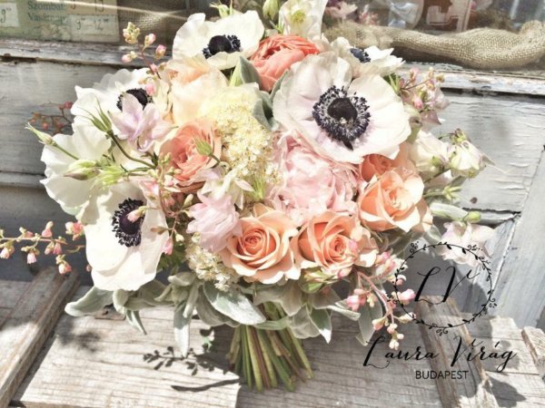 16425995_1574507919256982_1538285956852767893_n