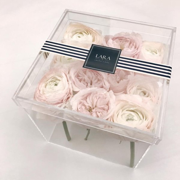 16426038_1567172126657228_7383061734690847260_n