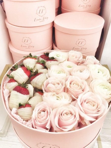 16426175_1577421305632310_4289238408100615996_n