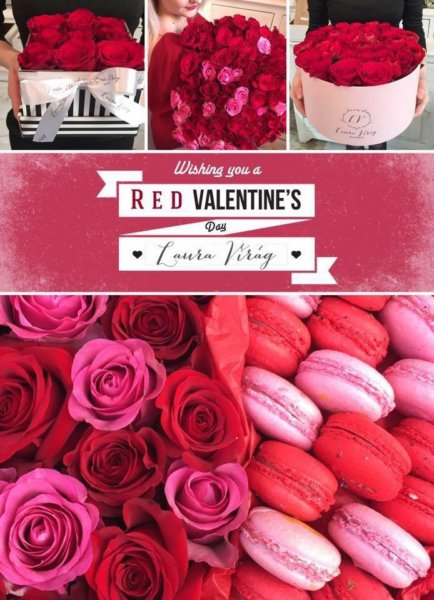 16427360_1577421228965651_5732021917768577768_n