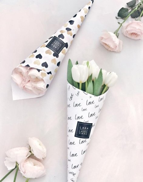 16427414_1567413319966442_2686683277903392378_n