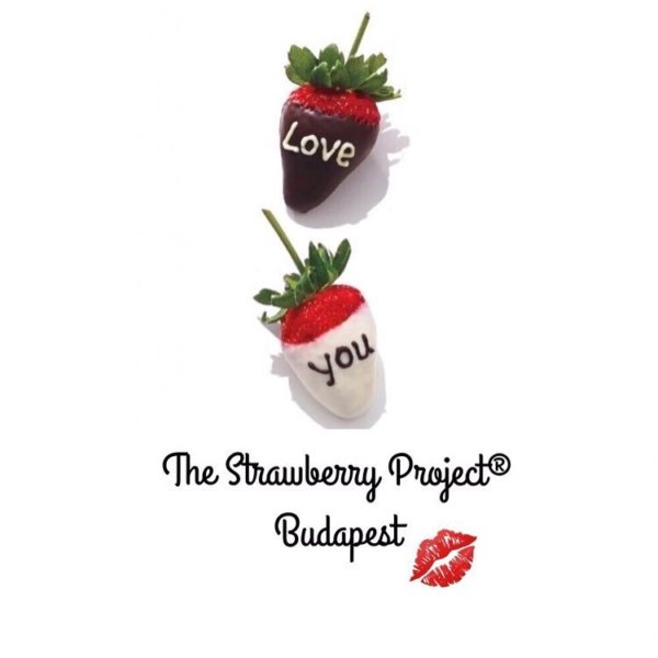 16473174_591287184399051_8225850912448394137_n