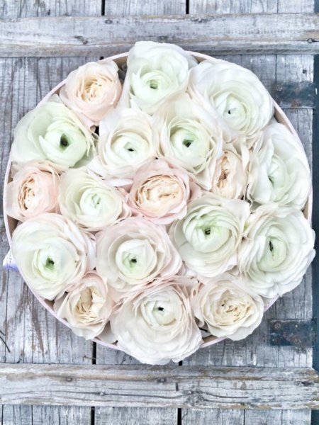 16473397_1573010452740062_1826724010028984349_n