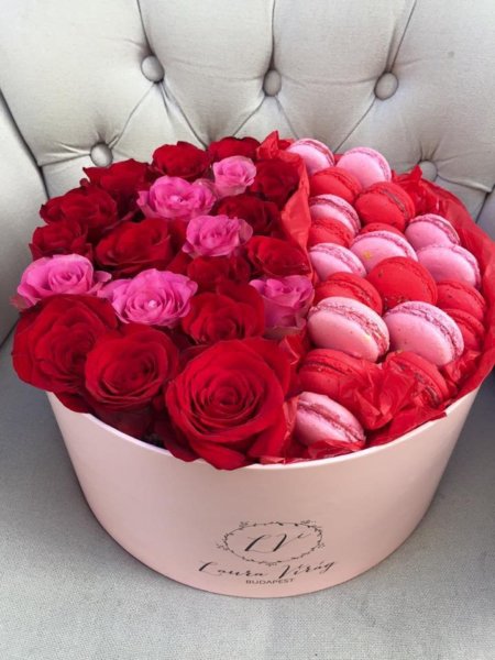 16473480_1577421232298984_7298617536915817566_n