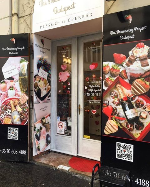 16473673_592377164290053_3652175098046528611_n