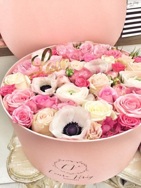 16507823_1577421562298951_2345716757954869726_n