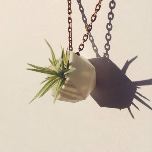 17124358_668106413371781_950692613_n