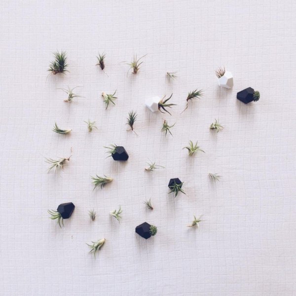 17124682_668106486705107_1489283279_n