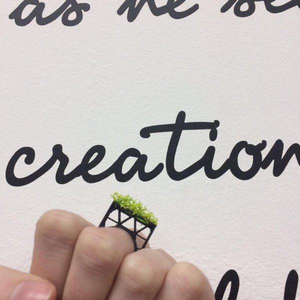 17124694_668106466705109_1162576851_n