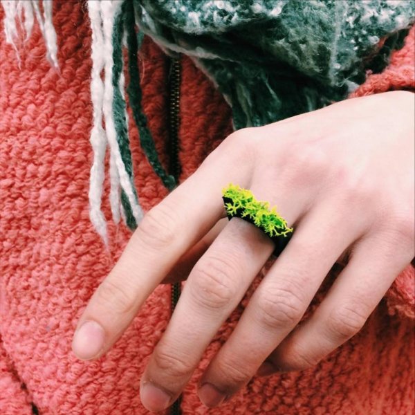 17125153_668106456705110_1587634808_n