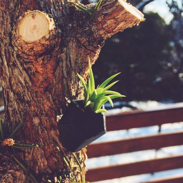 17161147_668106490038440_356360180_n