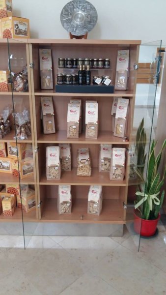 17457518_385294331869942_5178858588663510543_n