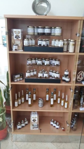 17457979_385332961866079_4707376717854865200_n