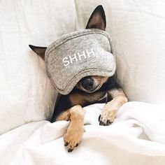 4b552f9730a07838a4432460252c6ecf