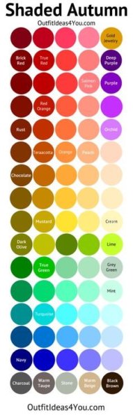 a0ea229d1587304f7a188fe55d924b69