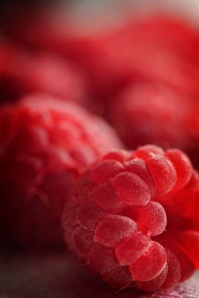 f6c6f4eb3c7bce0710a2aee8e627d29f